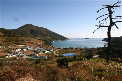 멸치잡이와 고구마 농사를 지으며 살아가는 개도 모전마을 